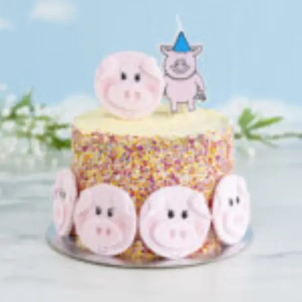 Karen Davies Pig – Farm Faces Mould - Afbeelding 2