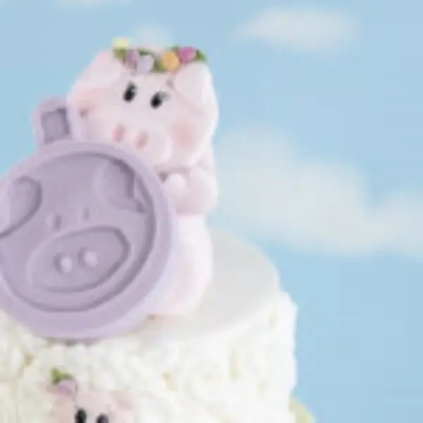 Karen Davies Pig – Farm Faces Mould - Afbeelding 3