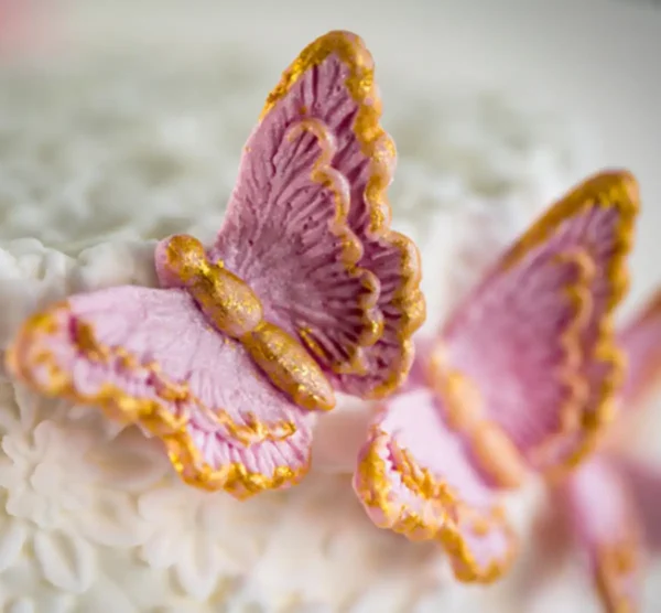 Karen Davies Brush Embroidery Butterflies Silicone Mould - Afbeelding 2