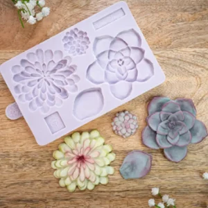 Karen Davies Succulent Mould