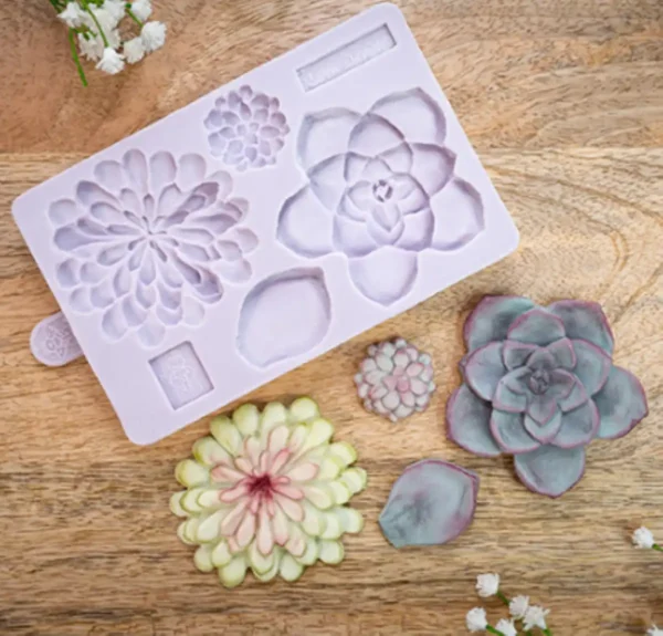 Karen Davies Succulent Mould