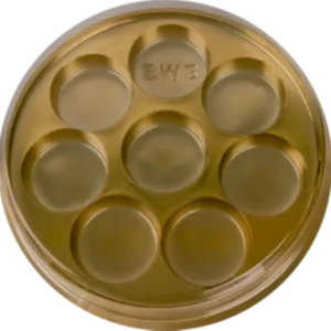 BWB bonbonverpakking goud rond voor 8 bonbons 10 stuks