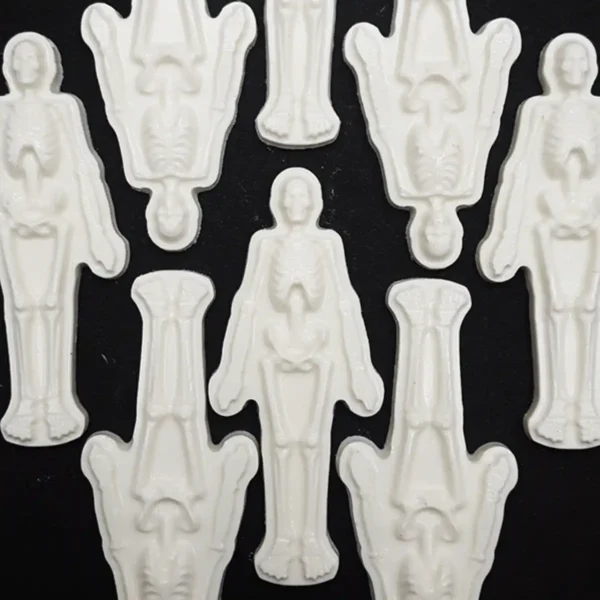 BWB skelet - Afbeelding 2